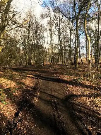 Photo de Broxhead Common