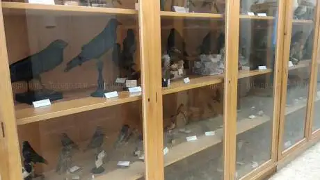 Photo de Zoology Institute of La Sapienza University