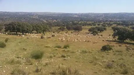 Photo de El Parador (Santibáñez de Béjar)