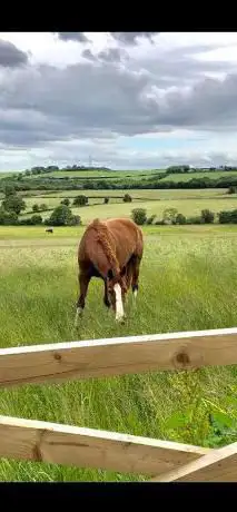 Photo de Barcus Close Livery Centre Newcastle and Durham
