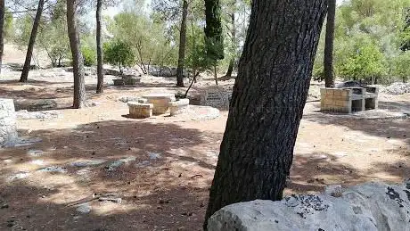 Photo de Pineta di Testa Dell'acqua (Noto Antica)
