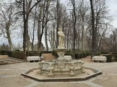 Photo de Jardin de l'Île