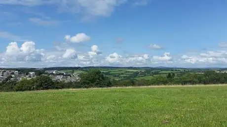 Cann Woods Local Nature Reserve