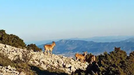 Photo de Geodésico del Morrón de Alhama