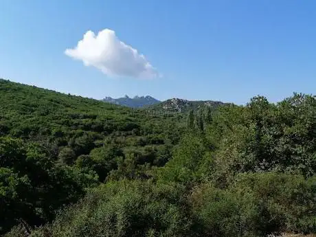riserva cervi foresta 7 fratelli