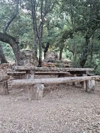 Picnic area