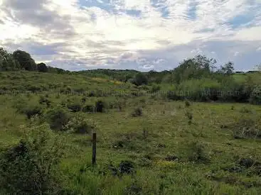 Photo de Steinbühl-Schäfergraben