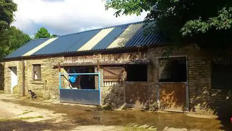 Photo de Sun Hill Farm Veterinary Physiotherapy and Livery
