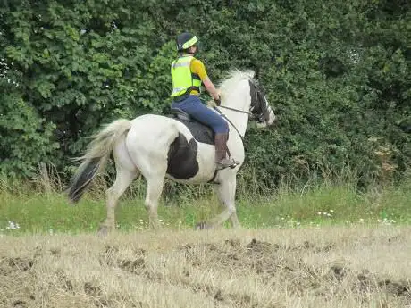 Photo de Kirklands Equestrian - Horse Courses Education & Training, Livery Yard, Equestrian Services