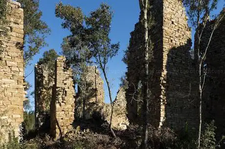 Photo de Castello di Cepparello