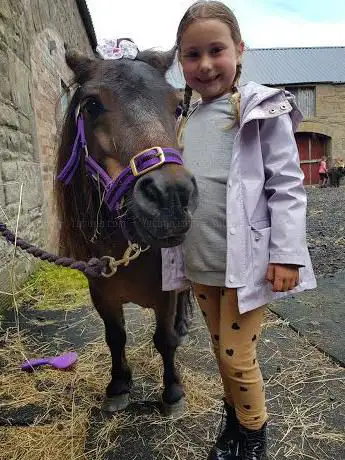 Photo de Once Upon a Pony