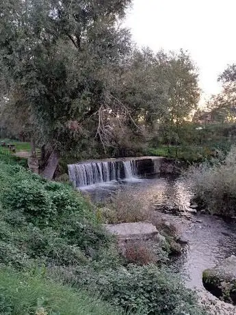 Photo de Parco fluviale del Basento