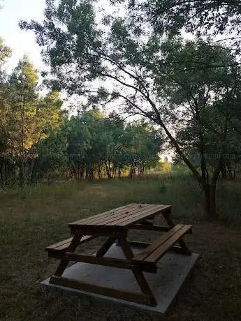 Photo de Aire de Pique-Nique