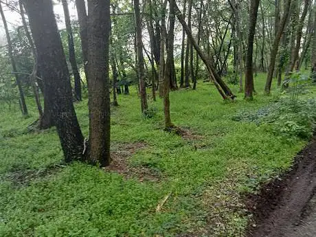 Photo de Parco dei Mughetti