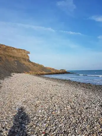 Petit Bois