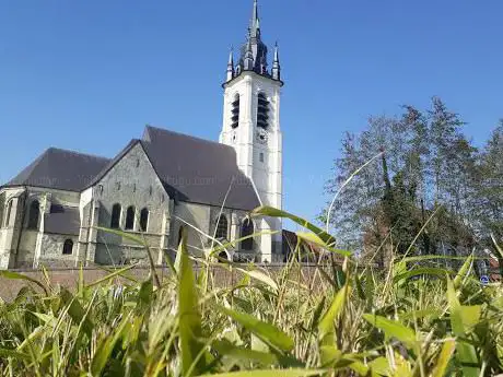 Photo de Église Saint-Martin Sebourg