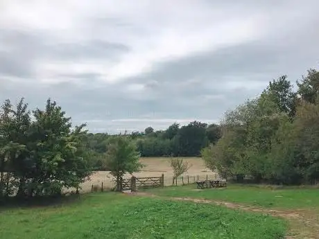 Senlac Hill