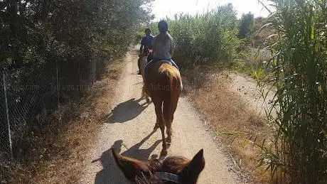 Centro Equestre il Falco