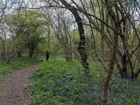 Photo de Archers Wood Nature Reserve