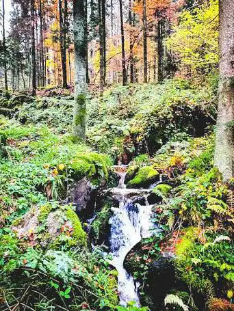 Obere Grobbach Wasserfälle