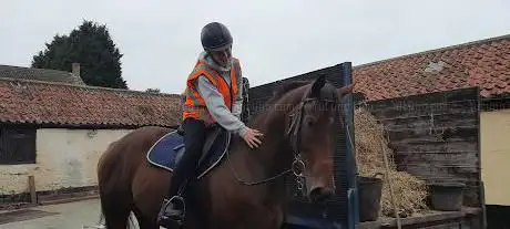 Instinctive Horse Training