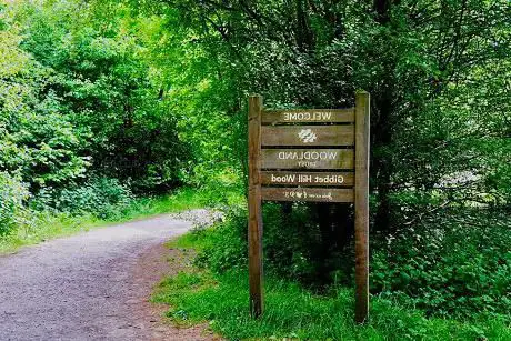 Gibbet Hill Wood