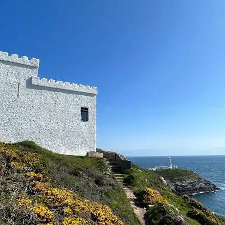 Elin's Tower