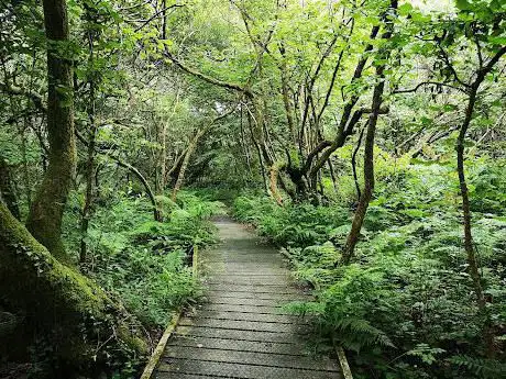 The Watts Nature Reserve