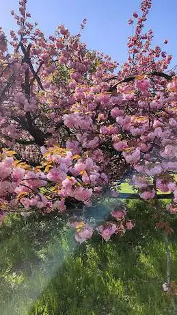 Photo de Parco Papa Giovanni Paolo II