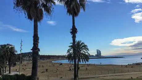 Photo de Guies de Catalunya - Visitas guiadas