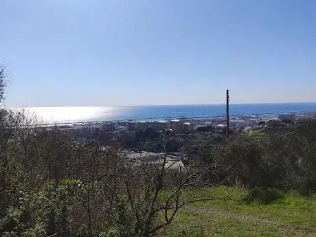 Testa di cavallo