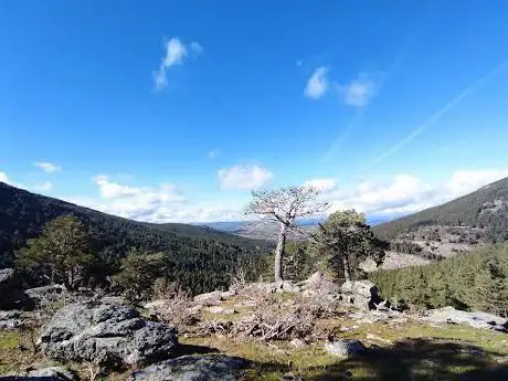 Photo de Mirador de las Cebadillas