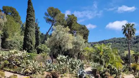 Photo de Jardà Botànic Tropical Paratge Pinya de Rosa