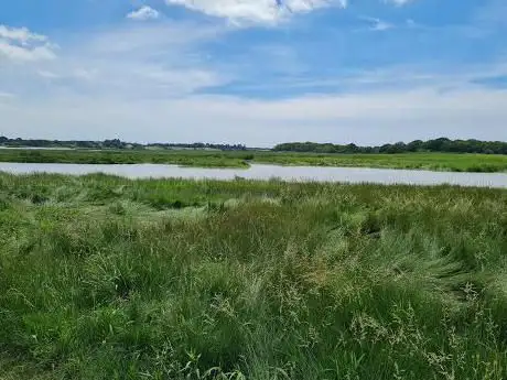 Snape Marshes