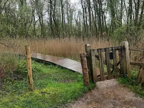 Houten brug over de beek