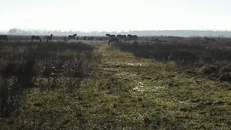 Photo de Portmore NATURE Reserve