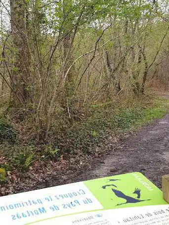 Photo de Lahitau Woods