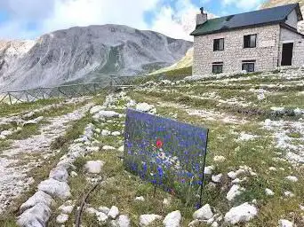 Giardino botanico alpino di Campo Imperatore