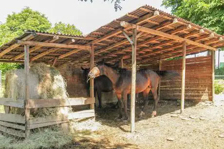 Cascina Rongarina 42 - Equi@motion