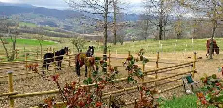 Photo de Ca' Zanoli Quarter Horses