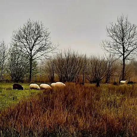 Photo de De Swal natuurgebied