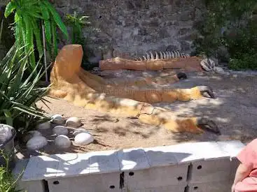 Photo de Traces de dinosaures