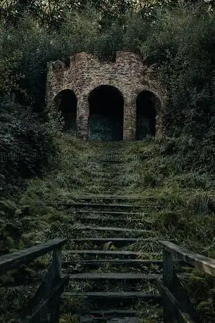 Gnoll Park Tower