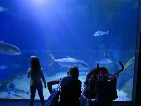 Acquario di Cala Gonone