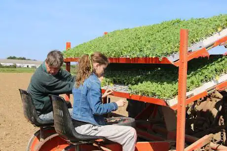 Légumes project
