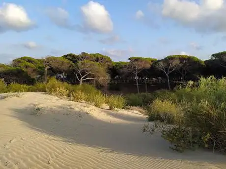 Photo de Pinares de Urbasur
