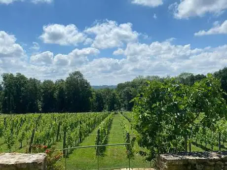 Vignoble Seine-et-Marnais