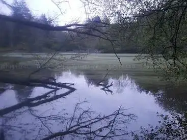 Sängeliweiher