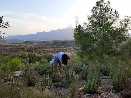 Photo de Montemero Art Residency