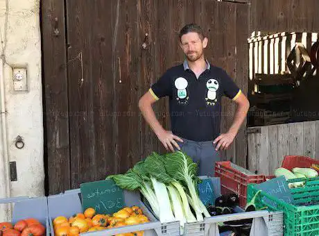 Légumes de saison